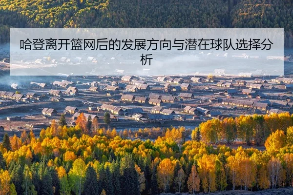 ha-deng-li-kai-lan-wang-hou-de-fa-zhan-fang-xiang-yu-qian-zai-qiu-dui-xuan-ze-fen-xi-2-804.jpg